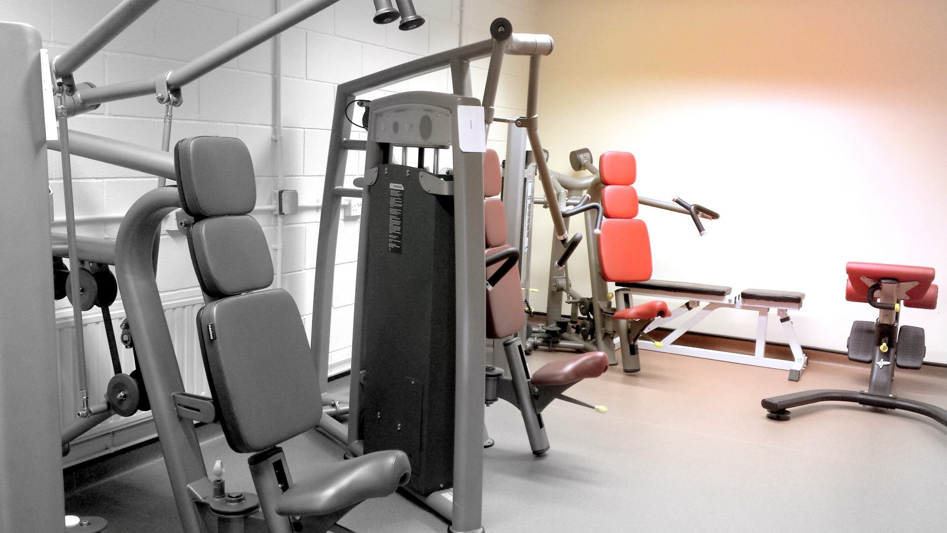 First-hand Advice for Becoming a Personal Trainer